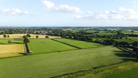 Ariel-landscape-of-green-and-yellow-countryside-fields-with-trees-and-cattle