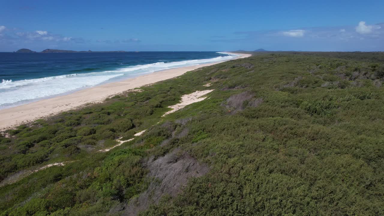 vegetación verde y exuberante cerca de las dunas de arena de la playa de mungo en nueva gales del sur, australia