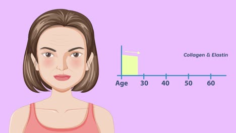 visual representation of skin aging process