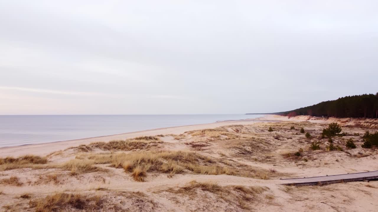 A peaceful view of Beach Pines in Baltic Mezciems Garupe, with the ocean bathed in soft light.