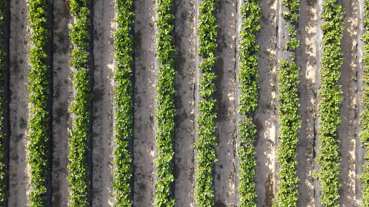 농장 위에서 보는 모습