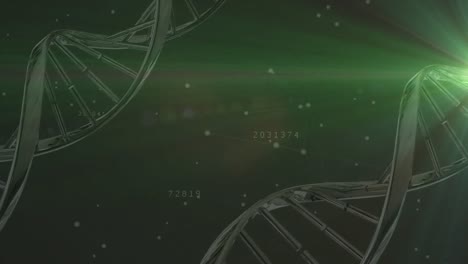 Animation-of-dna-strands-over-data-processing