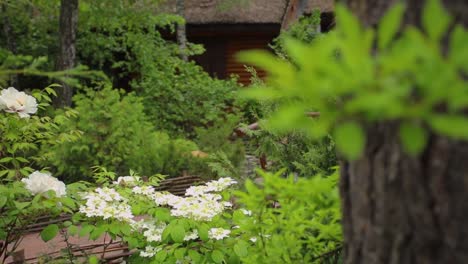 beautiful garden scene with flowers and trees