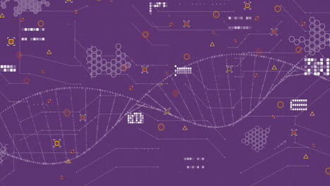 Animation-of-data-processing-over-dna-strand-on-purple-background