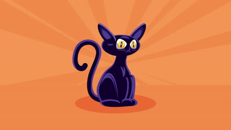 happy halloween animation with black cat