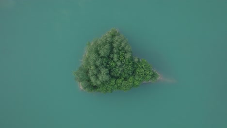 Islet-Amidst-Doftana-River-In-Prahova-County,-Muntenia,-Romania