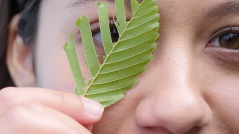 perspectiva de niña tímida desde un primer plano de hoja triturada