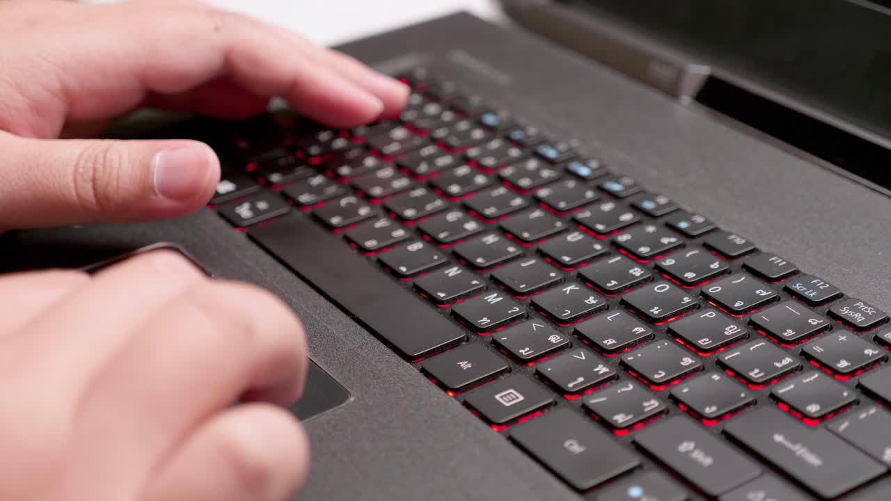 인터넷에서 최신 업데이트를 검색하는 동안 노트북 컴퓨터의 내장 마우스를 입력하고 사용하는 것