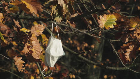 face mask hanging in wind on tree branch, symbolism of covid relaxation of restrictions