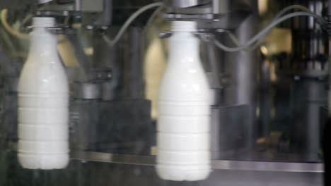 imágenes de botellas de leche de plástico blanco en la línea de producción en una compañía lechera, las botellas están llenas, selladas y van a ser etiquetadas