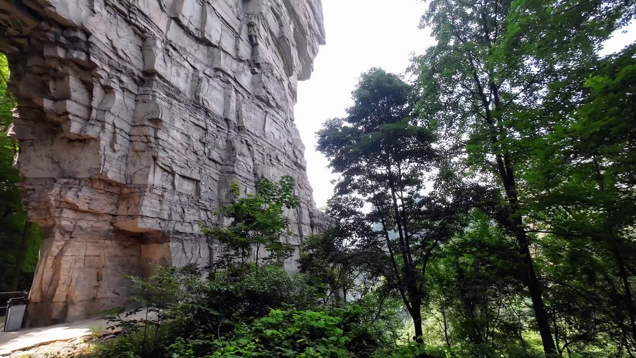 Pan left view of rocky archway and surrounding green vegetation in forest landscape
