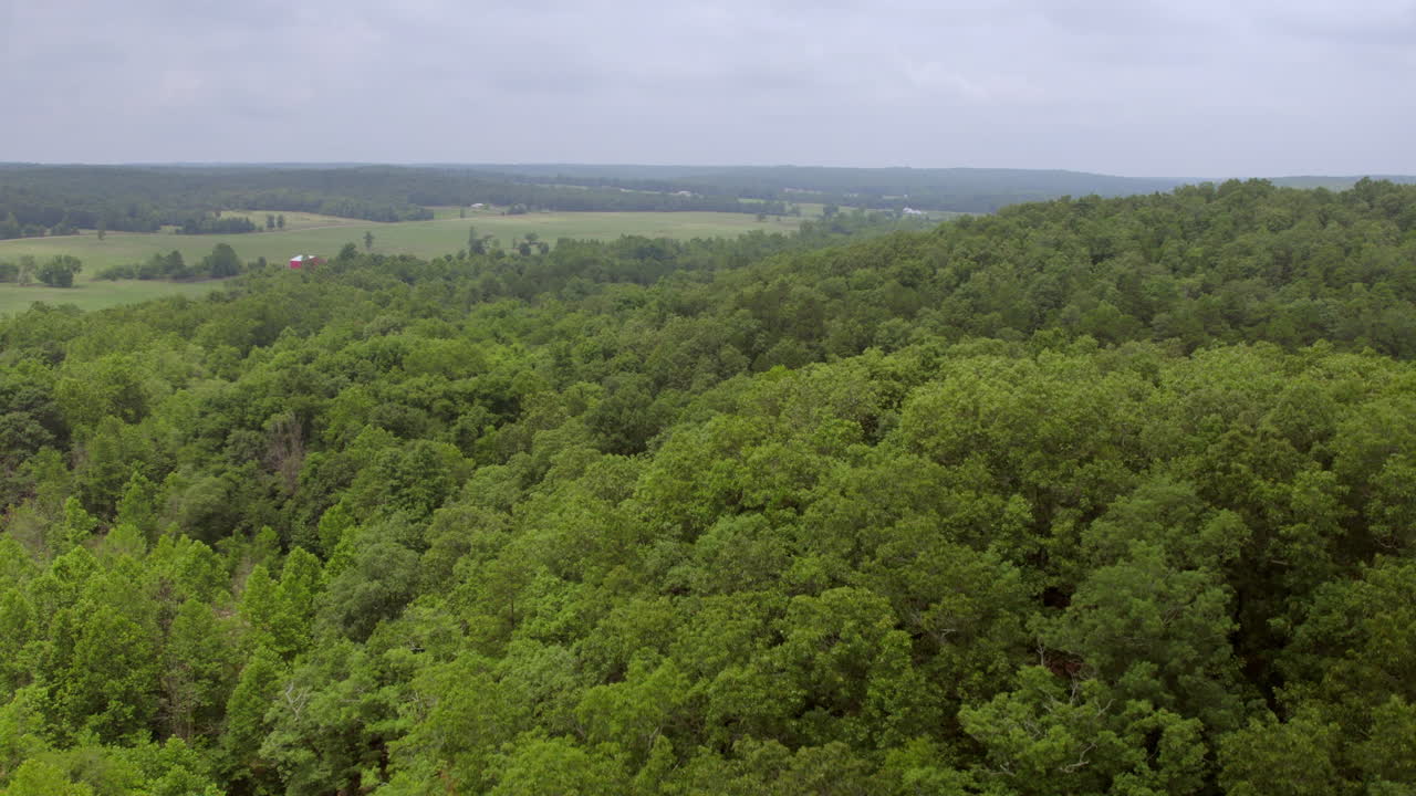 levántese sobre los árboles y el hermoso paisaje del sur de missouri en un bonito día de verano