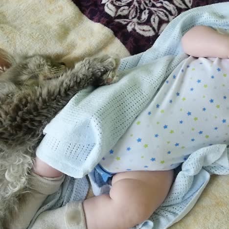 baby and cat sleeping together