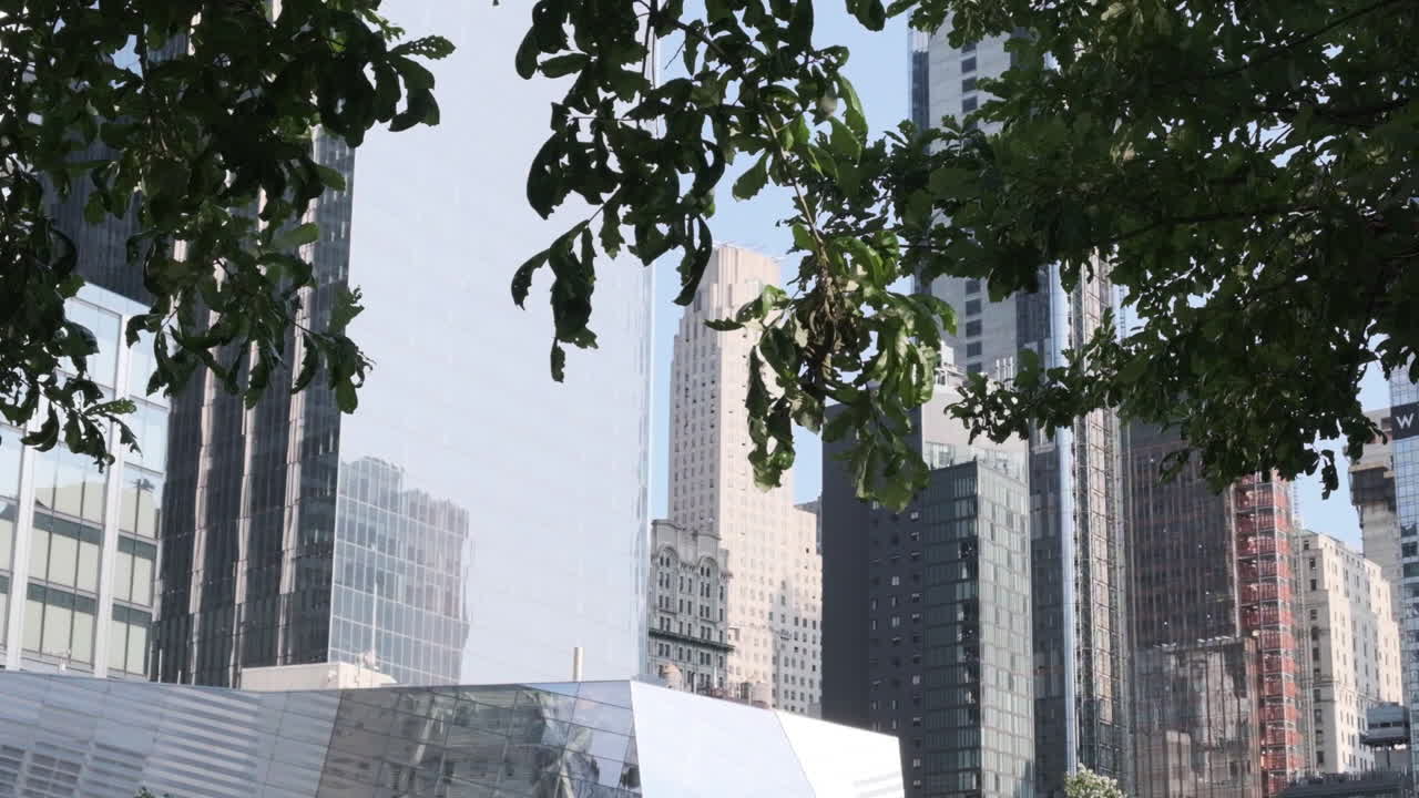 높은 초고층 빌딩과 함께 뉴욕 시의 스카이라인의 나무  ⁇ 에서  ⁇ 트 업을 보여줍니다.