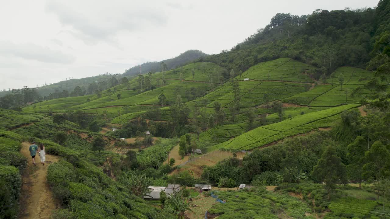 Couple walking through lush tea plantations in Sri Lanka, vibrant green hills in the background
