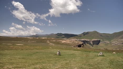 time lapse: clouds drift over wide expanse of highland grassland, za