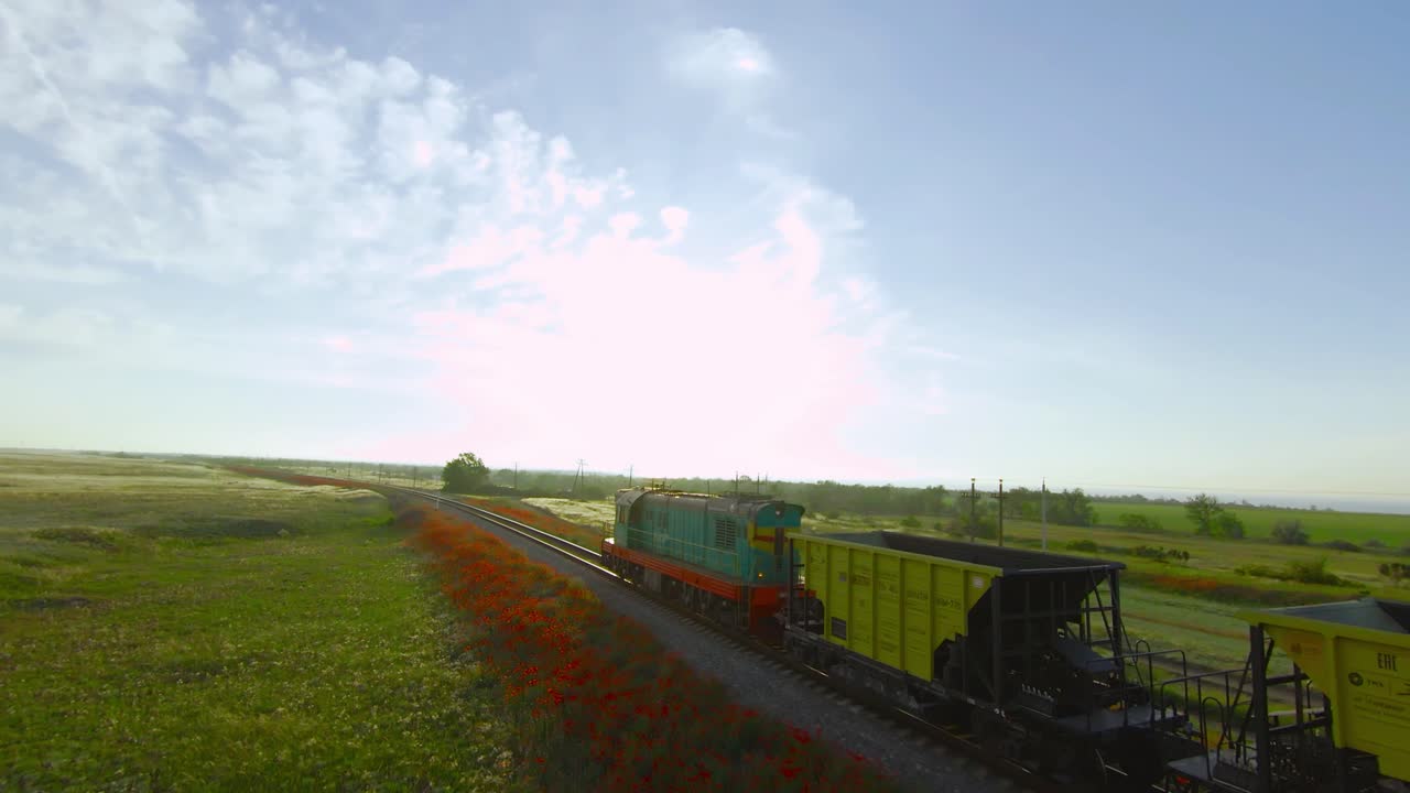 tren pasando por un campo de amapolas