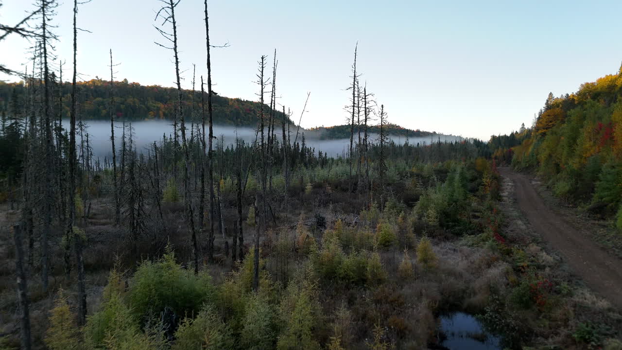 Aerial view of autumn forest and mountains in vivid colors with morning fog in Mauricie, Quebec, Canada. Soft sunlight illuminates the colorful foliage over peaceful wilderness