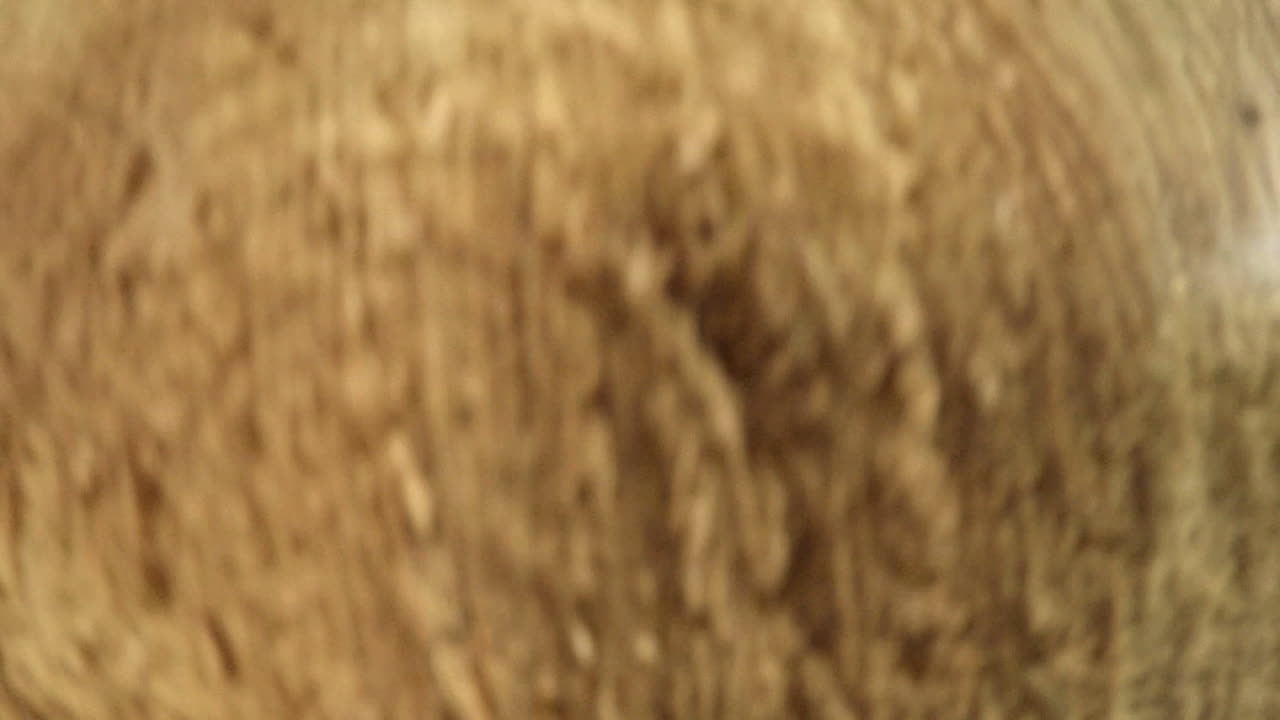 목재 가공 기계 공급기. 목재 공장에서 목재를 공급하는 장치