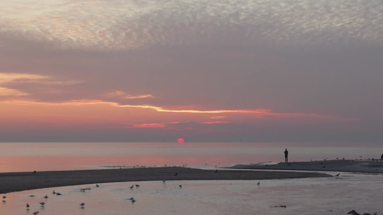 일출 동안 경치를 감상하는 이른 아침의 한 사람