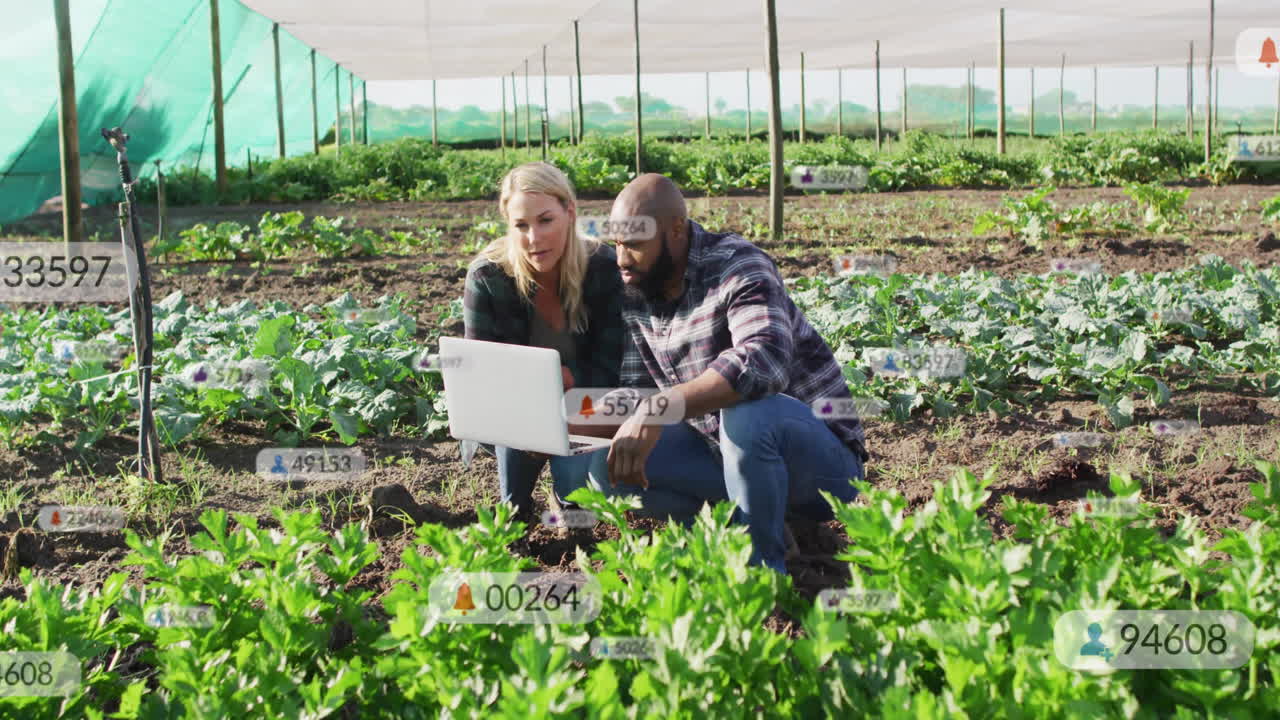 Analyzing data on laptop, farmers in greenhouse managing vegetable crops animation