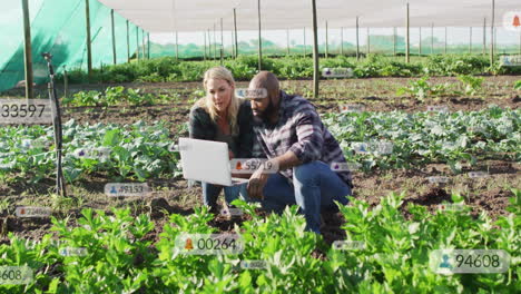 analyzing data on laptop, farmers in greenhouse managing vegetable crops animation