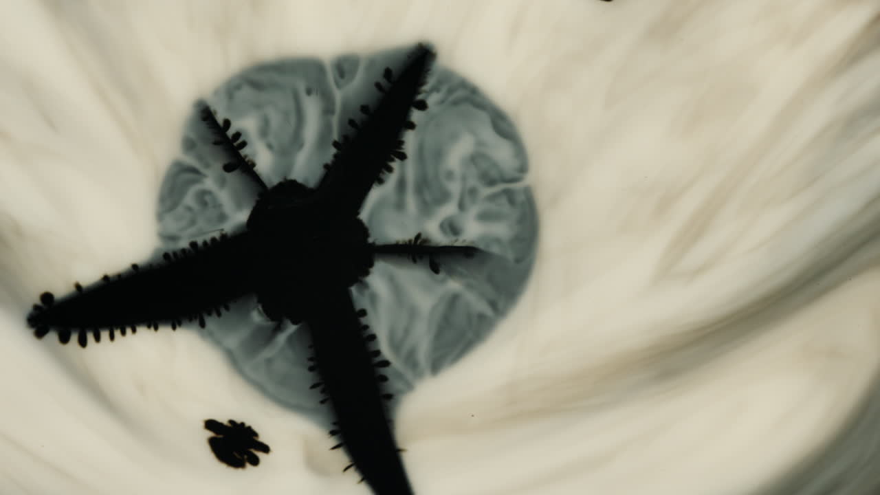 Star-shaped patch in greyish fluid expansion. Motion video