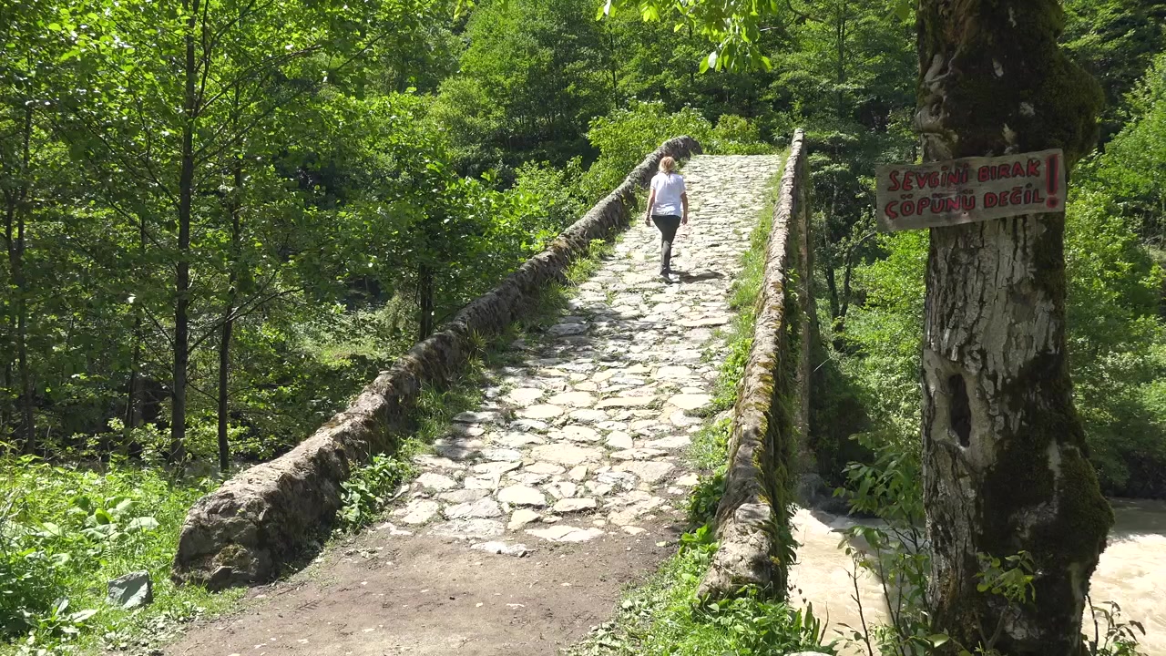 Woman Walking Across an Ancient Stone Bridge in a Lush Forest