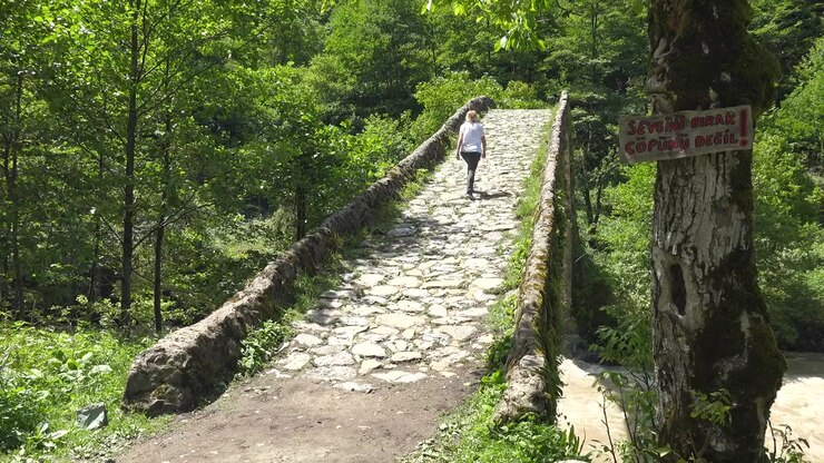 Donna che cammina su un antico ponte di pietra in una foresta lussureggiante