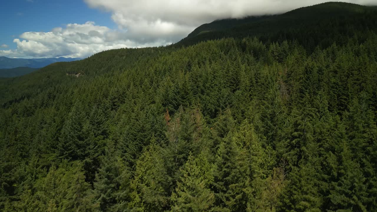 Tomada aérea de drone de um lado para o outro, voando perto de uma floresta de coníferas verdes na encosta de uma montanha, subindo lentamente e de perto, em um dia ensolarado de céu azul com algumas nuvens em Vancouver
