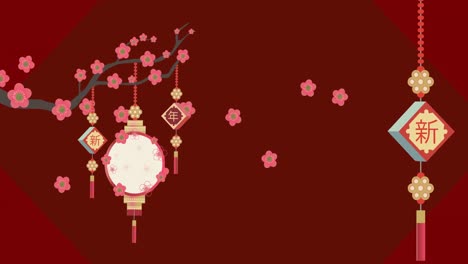 Animation-of-chinese-lanterns,-text-and-pink-cherry-blossom-on-red-background