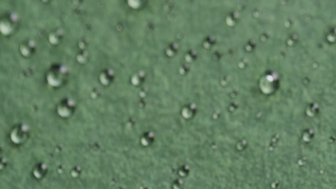 녹색 배경에 복사 공간과 함께 물방울의 클로즈업의 마이크로 비디오