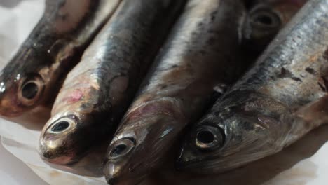 fresh anchovies