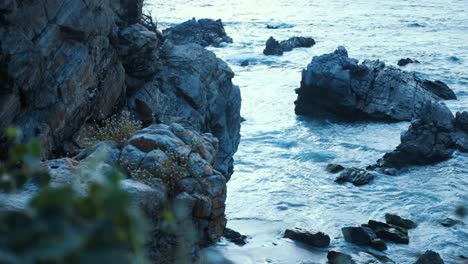 A-scenic-view-where-lush-foliage-in-the-foreground-complements-the-rocky-coastline,-painting-a-picture-of-nature's-contrasts-along-the-serene-Mexican-shore