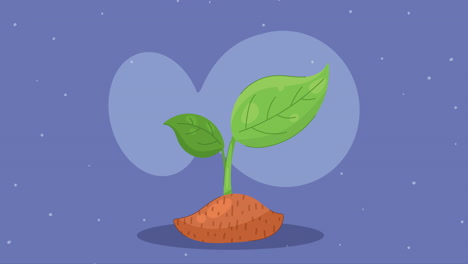 plant garden nature ecology animation