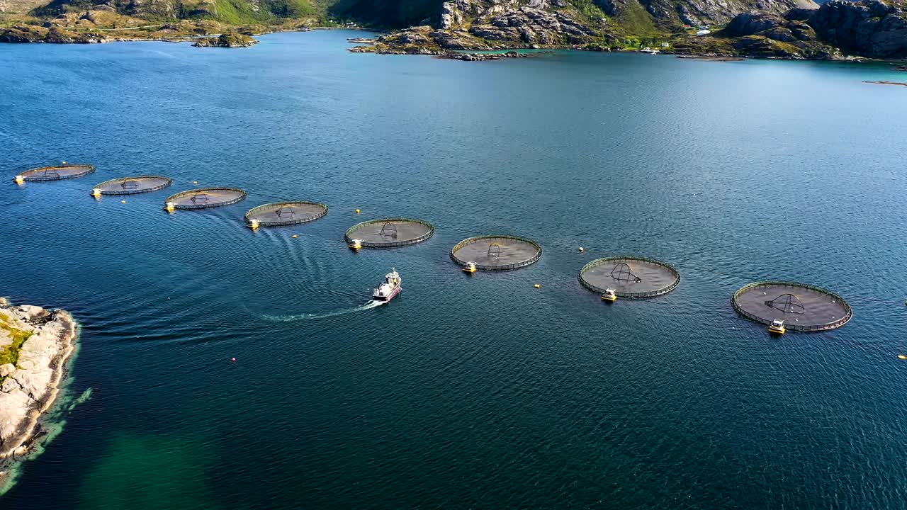 노르웨이에서 연어  ⁇ 시를 하는 공중 촬영