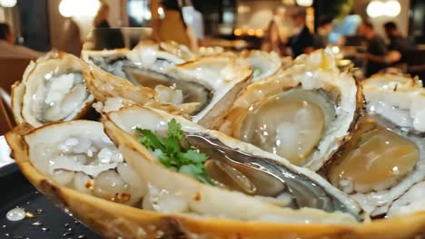 fresh oysters at a restaurant