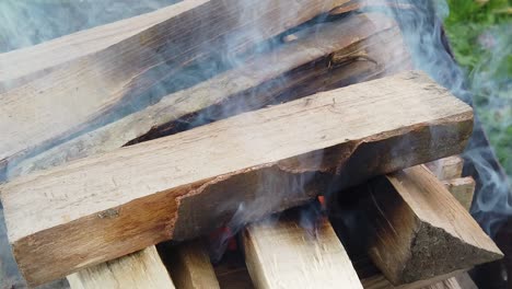 quemando troncos de madera para una barbacoa