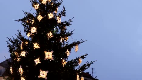 riga, latvia. traditional christmas tree and trading houses on dome square in winter evening night