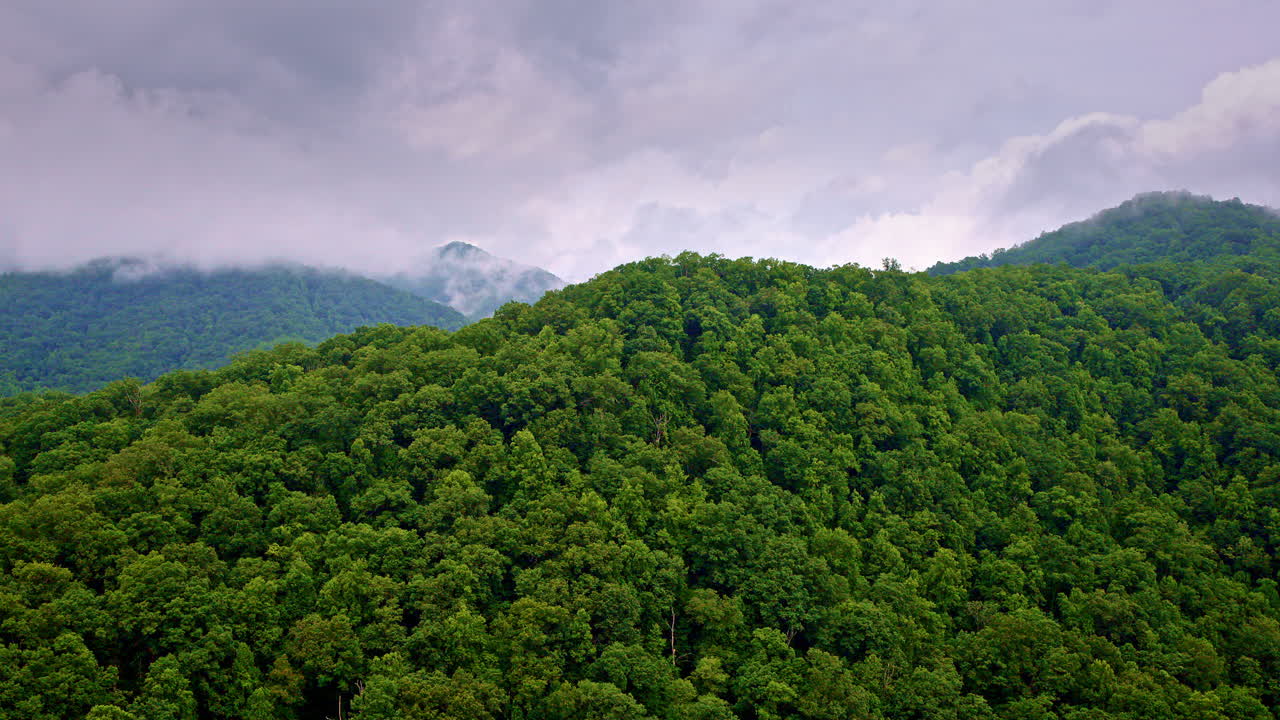 Cinematic drone footage over layered mountain fog.