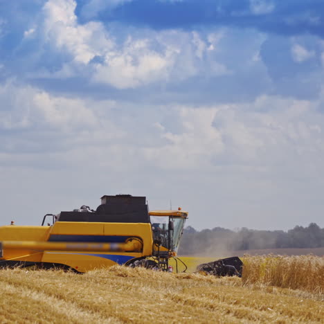 side view of modern machine in the field. agricultural machinery during seasonal works in summer. yellow combine on the golden field.