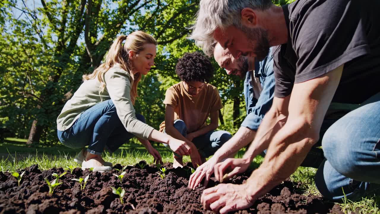 Vídeo em ângulo alto de grupo diverso plantando mudas em um jardim