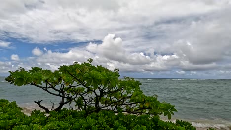 Carretera-Kamehameha-En-Honolulu,-Oahu,-Hawaii