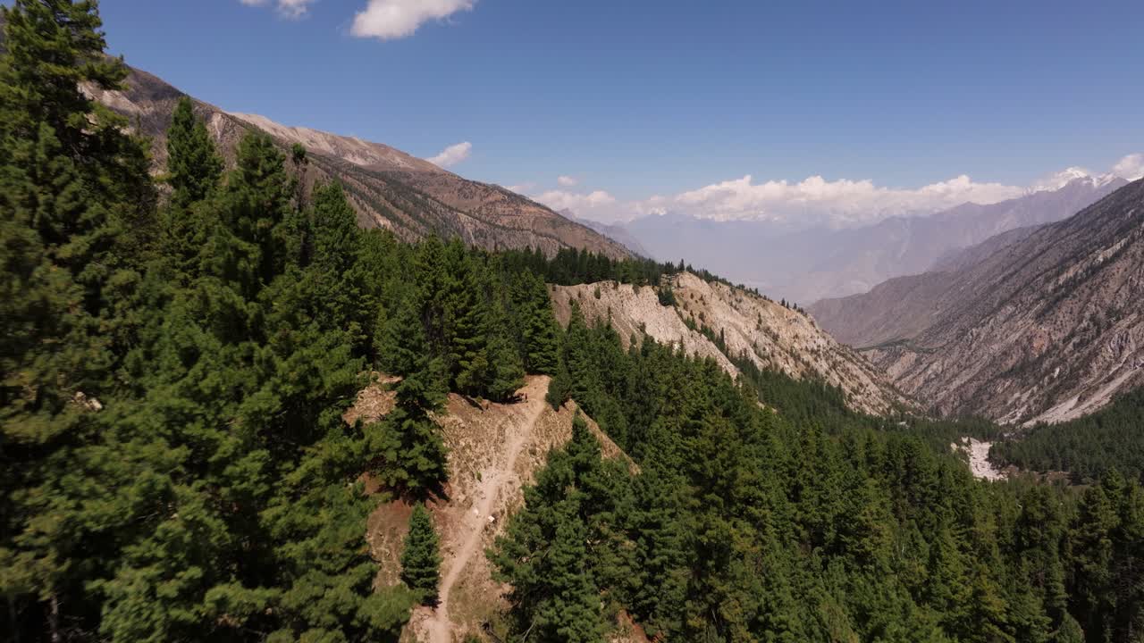 hermosa vista aérea de un exuberante bosque de pinos verdes con la cordillera de karakoram en el fondo