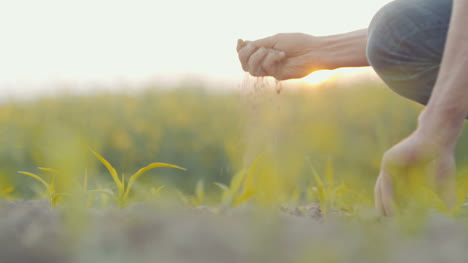 farmer pouring organic soil