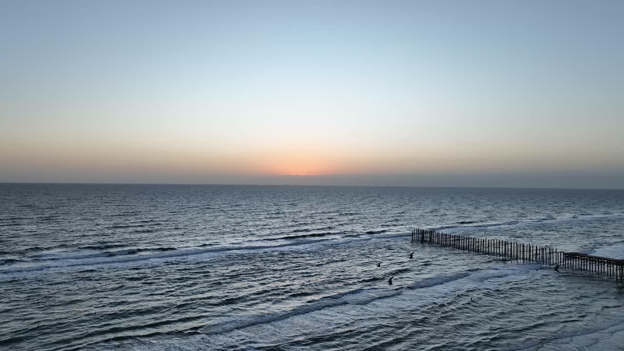 Birds flying over the Gulf of Mexico at dawn