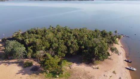 Palm-tree-forest-in-a-tiny-island-surrounded-by-water,-aerial-view