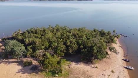 bosque de palmeras en una pequeña isla rodeada de agua, vista aérea