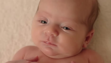 close-up of a newborn baby's face
