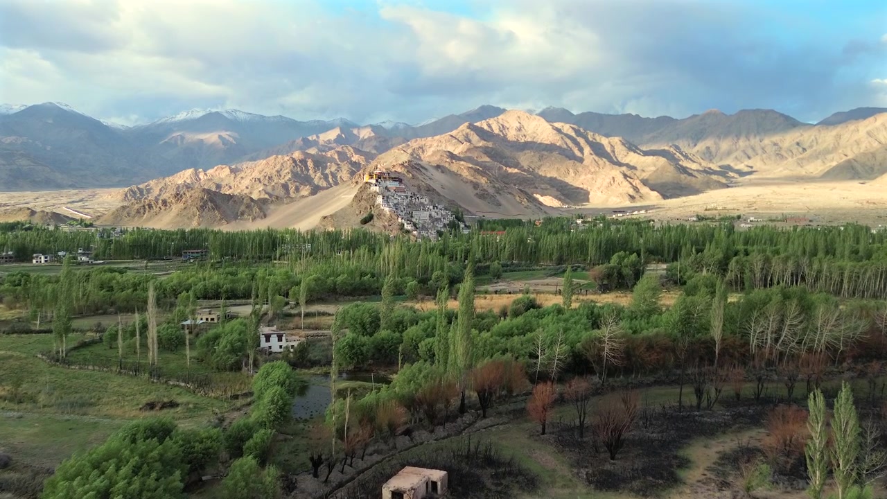 Ripresa aerea con drone in avanzamento a un'altitudine fissa su una lussureggiante valle verde verso il Monastero di Chemrey al tramonto a Leh Ladakh, India